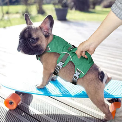 Harnais chien anti traction HarnaisJa harnais avec vert chien