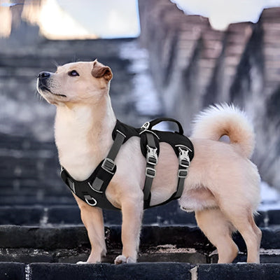 Harnais chien anti traction HarnaisJa harnais noir chien