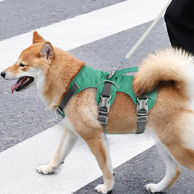 Harnais chien anti traction HarnaisJa harnais vert chien