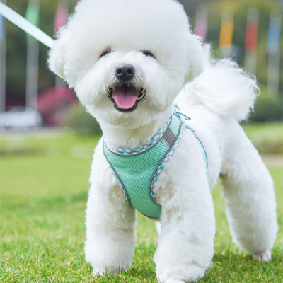 Harnais pour chien DogHarness blanc bleu chien