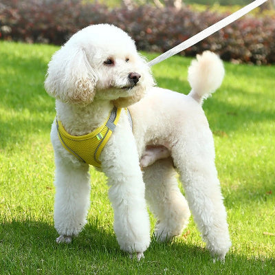 Harnais pour chien DogHarness blanc, laisse jaune chien