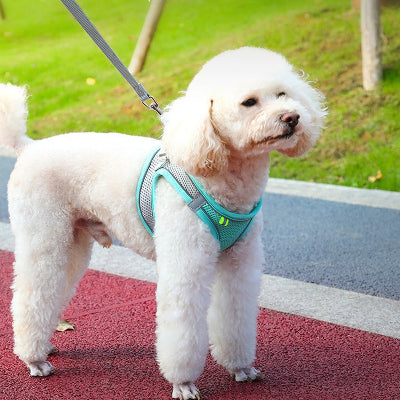 Harnais pour chien DogHarness un chien blanc bleu chien