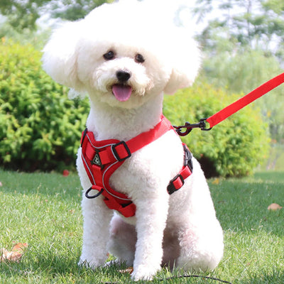 Harnais pour chien DogsHound harnais rouge chien