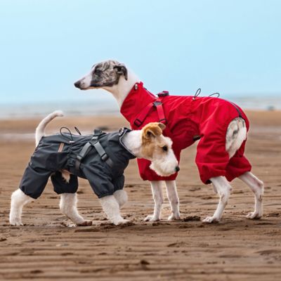 Imperméable pour chien ConfPluie rouge gris debout chien