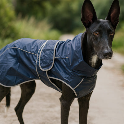 Imperméable pour chien PremPro bleu noir debout chien