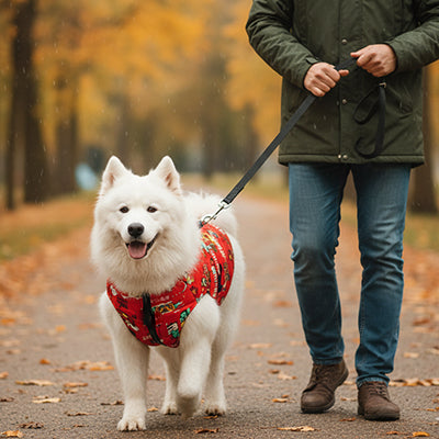 Imperméable pour chien Resista rouge blanc chien