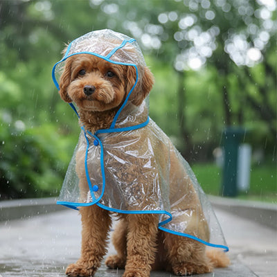Imperméable pour chien UltraResis bleu brun assis chien