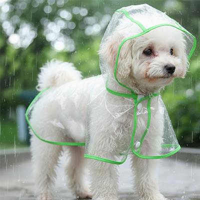 Imperméable pour chien UltraResis vert blanc debout chien