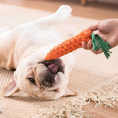 Jouet chien RobustimProductRactif carotte blanc coucher chien