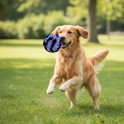 Jouet chien UltimateStimulant bleu noir brun chien