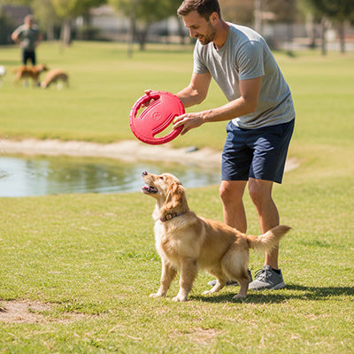 Jouet pour chien IntelliplayUltra rouge, brun debout chien