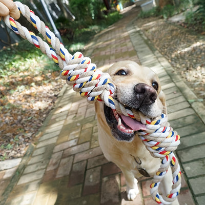 Jouet pour chien ResistantTeething stress blanc étirement chien