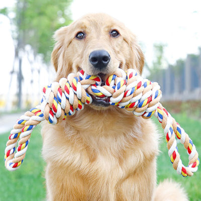 Jouet pour chien ResistantTeething stress brun debout chien