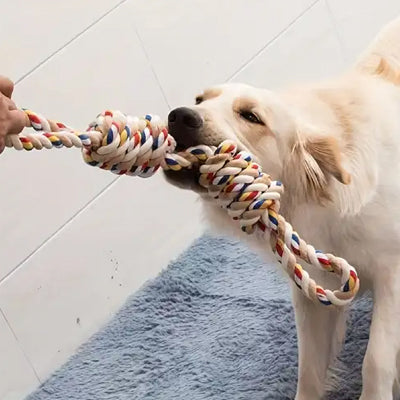 Jouet pour chien ResistantTeething stress étirement blanc chien