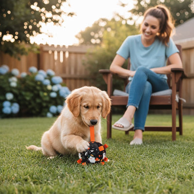 Jouet pour chien RobustPlay noir coucher brun chien