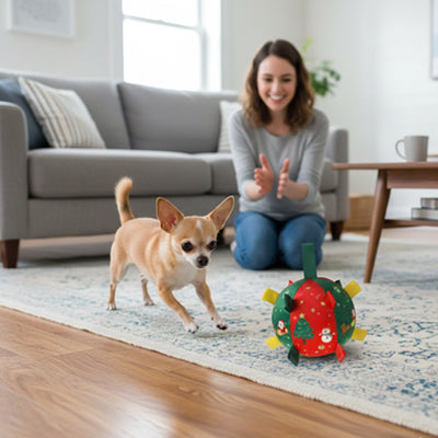 Jouet pour chien RobustPlay rouge courir brun chien