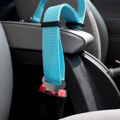 Laisse chien DogsHarnessLeas attacher bleu chien