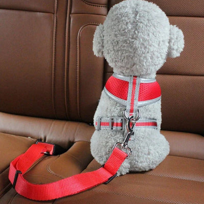 Laisse chien DogsHarnessLeas toutou attacher chien