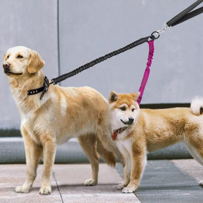 Laisse chien DogsTheLeadings brun rouge chien
