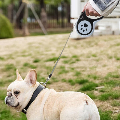 Laisse chien MashaCanineLeash laisse est noir blanc chien