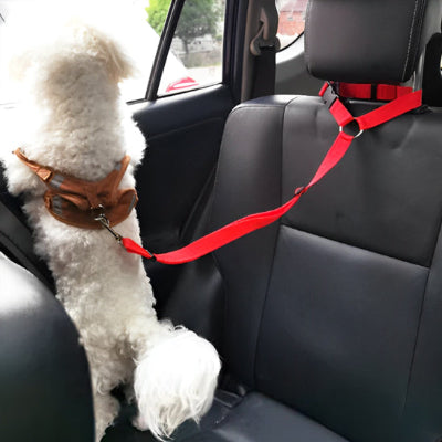 Laisse chien ShesLeavesDogs rouge debout blanc chien