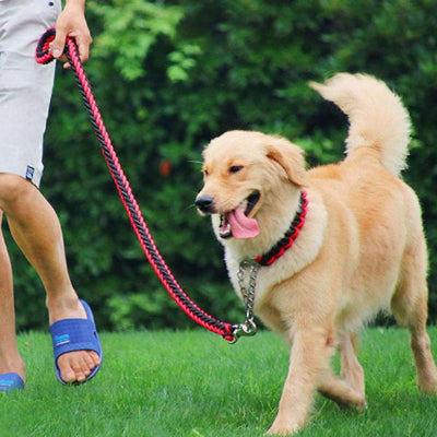Laisse pour chien AlGenerator il cour, avec laisse rouge chien