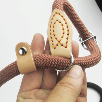 Laisse pour chien DogsLeashes brun chien