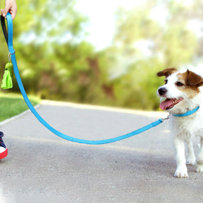 Laisse pour chien DogsTheLead bleu blanc chien