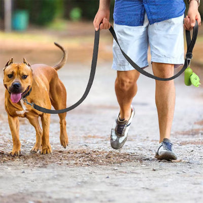 Laisse pour chien DogsTheLead marche noir maitre chien