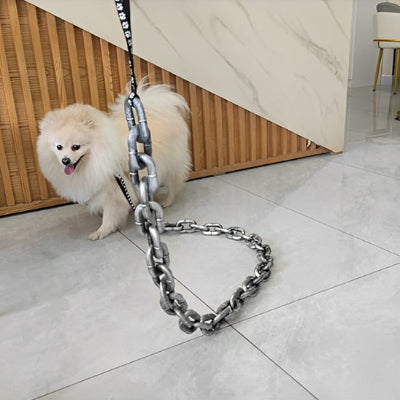 Laisse pour chien LeashesDogs blanc, la laisse aux, cou, chien