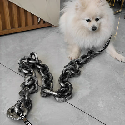 Laisse pour chien LeashesDogs blanc qui traine la laisse chien