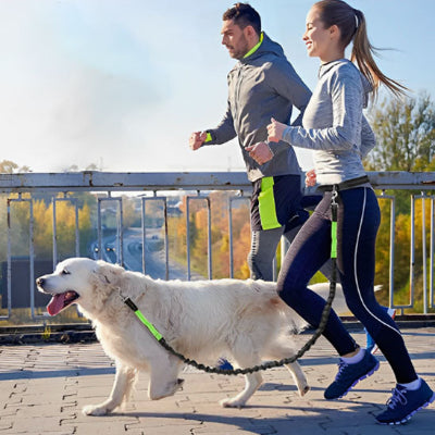 Laisse pour chien MiloCanine cour avec ses deux maitres avec laisse, vert, chien