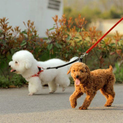 Laisses pour chien DimitriDog la laisses rouge chien