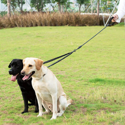 Laisses pour chien ZoeLeash les deux chiens assis chien