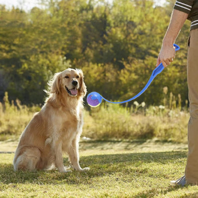 Lanceur de balle pour chien BallLaun assis bleu brun chien