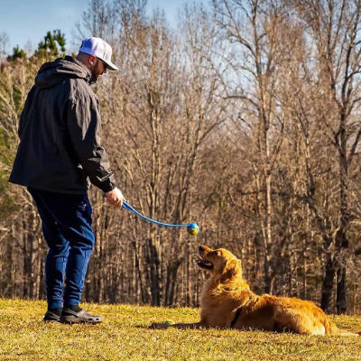 Lanceur de balle pour chien BallLaun couché, regarde, bleu brun chien