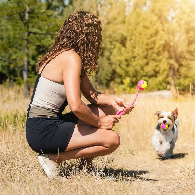 Lanceur de balle pour chien BallLaun rose blanc chien