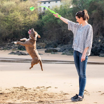Lanceur de balle pour chien BallLaun sauter vert pâle, brun, chien