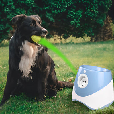 Lanceur de balle pour chien attrape la balle chien