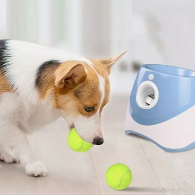 Lanceur de balle pour chien joue avec deux balles chien