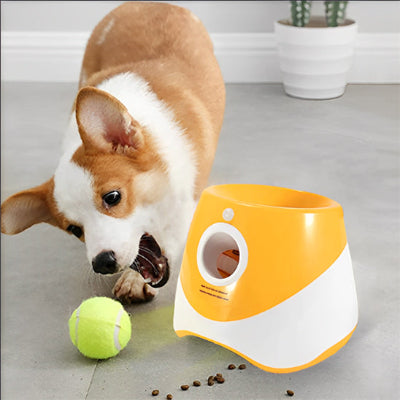 Lanceur de balle pour chien, jouet à la balle chien