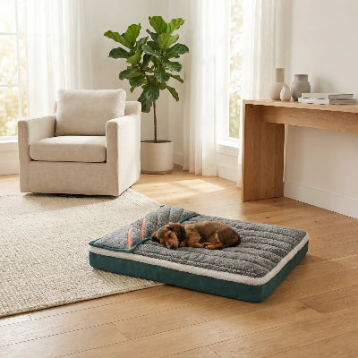 Lit chien ComfortCaninOrthopedic gris dormir noir chien