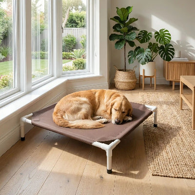 Lit chien MattressComfortPlus coffee brun chien