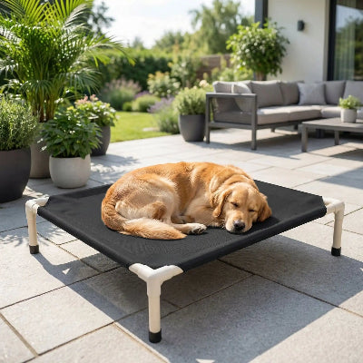 Lit chien MattressComfortPlus noir brun chien