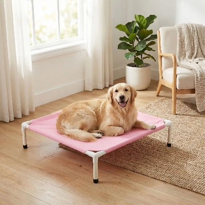 Lit chien MattressComfortPlus rose brun coucher chien