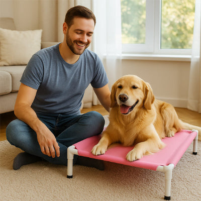 Lit chien MattressComfortPlus rose coucher brun chien