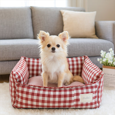 Lit chien OrthopediqueConfort rouge assis beige chien