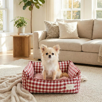 Lit chien OrthopediqueConfort rouge beige assis chien