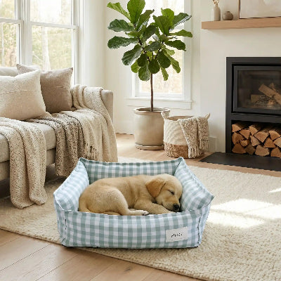 Lit chien OrthopediqueConfort vert brun coucher chien