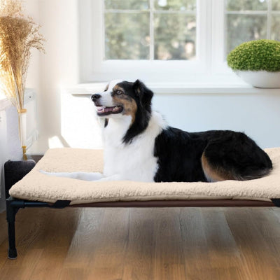 Lit de camp pour chien CampBed blanc noir coucher chien